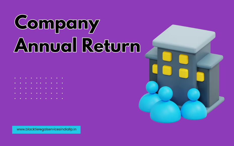 Company Annual Return