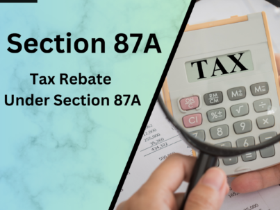 What is Section 87A