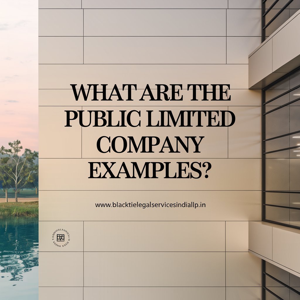 What are the Public Limited Company Examples?