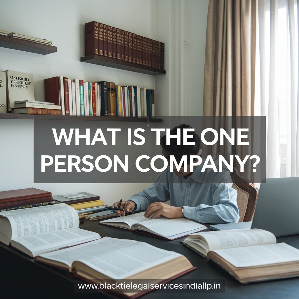 What is the One Person Company?