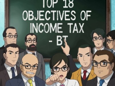 Top 18 Objectives of Income Tax - BT