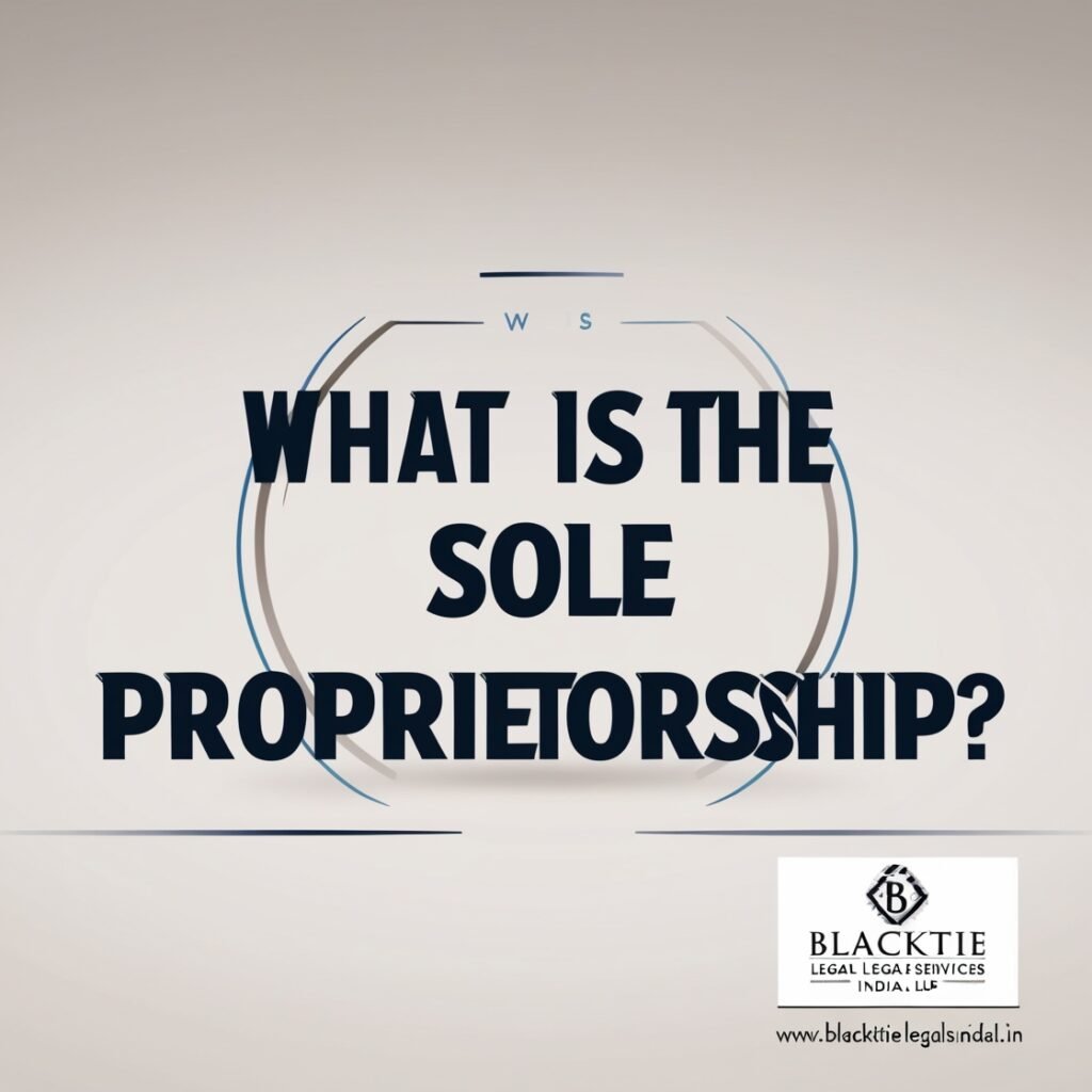 What is the Sole Proprietorship?