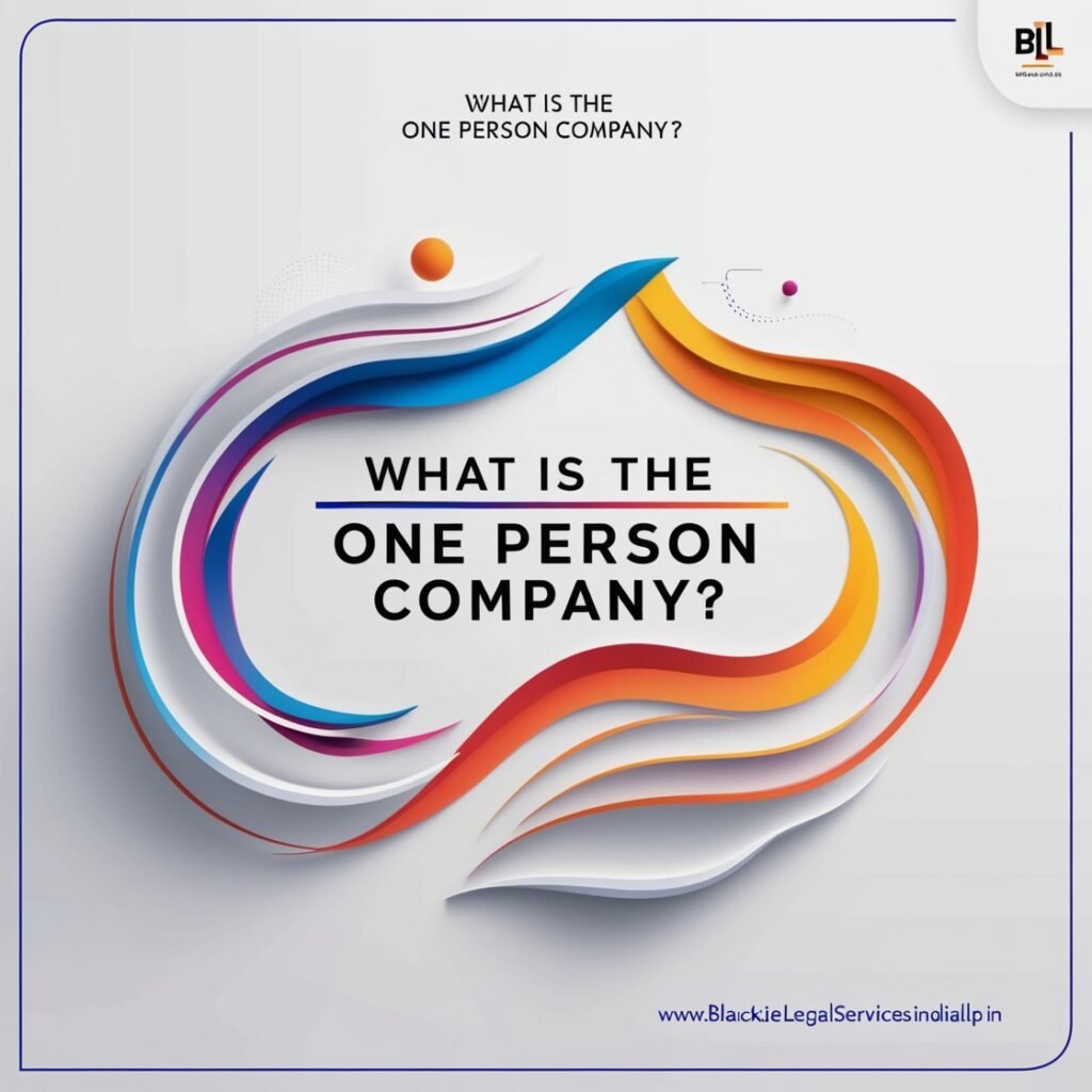 What is the One Person Company?