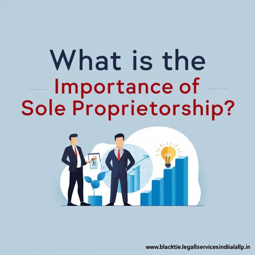 What is the Importance of Sole Proprietorship? 