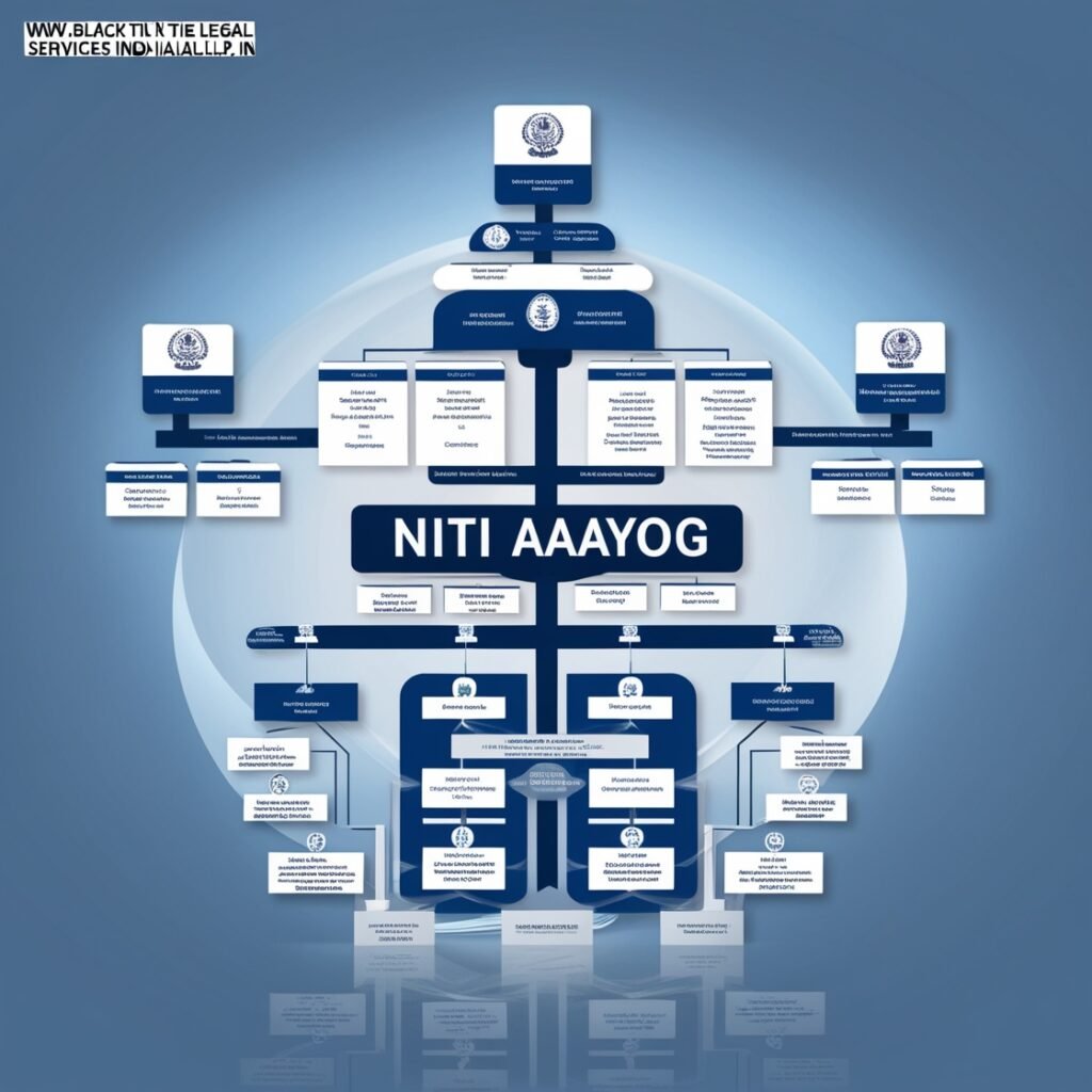 What is the Structure of NITI Aayog?