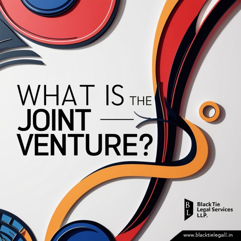 What is the Joint Venture?