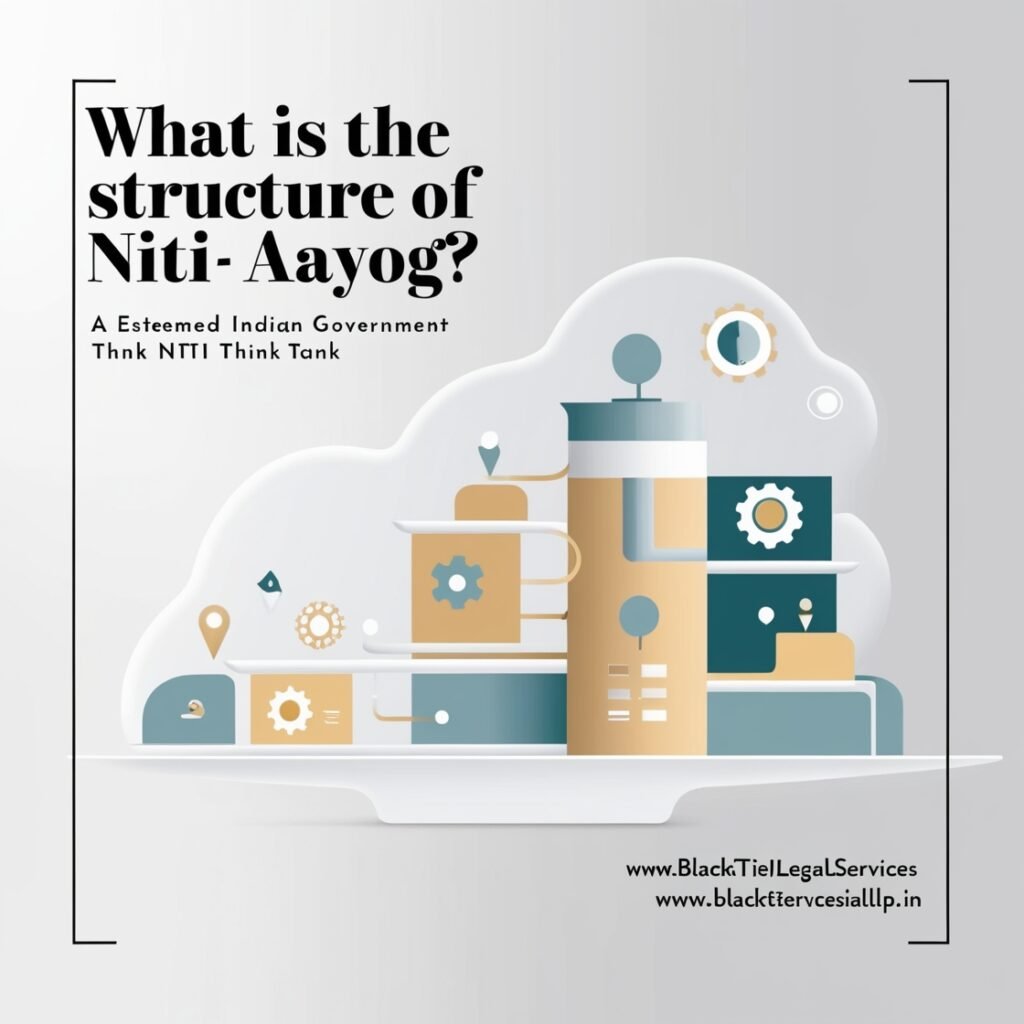 What is the Structure of NITI Aayog?